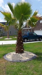 f10b6b33 b5ba 4fda 89a5 6d0bac463989 562.88343558282x1000 XTxl6KNPR0saG8OV0UYOfnmX9e3gIszm6MKpdgEb 1